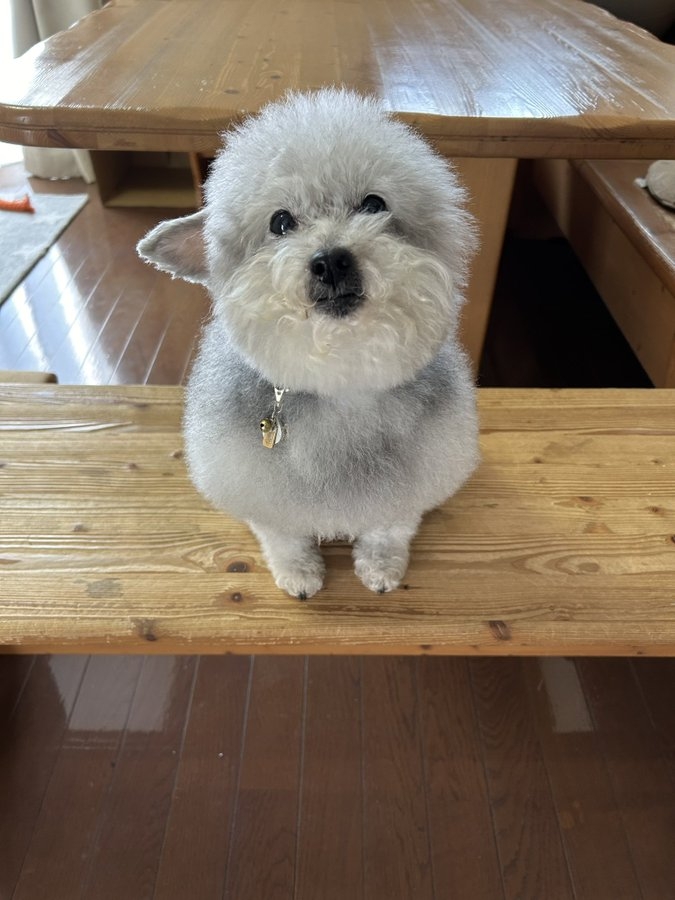 奴才：給你關小一點啦