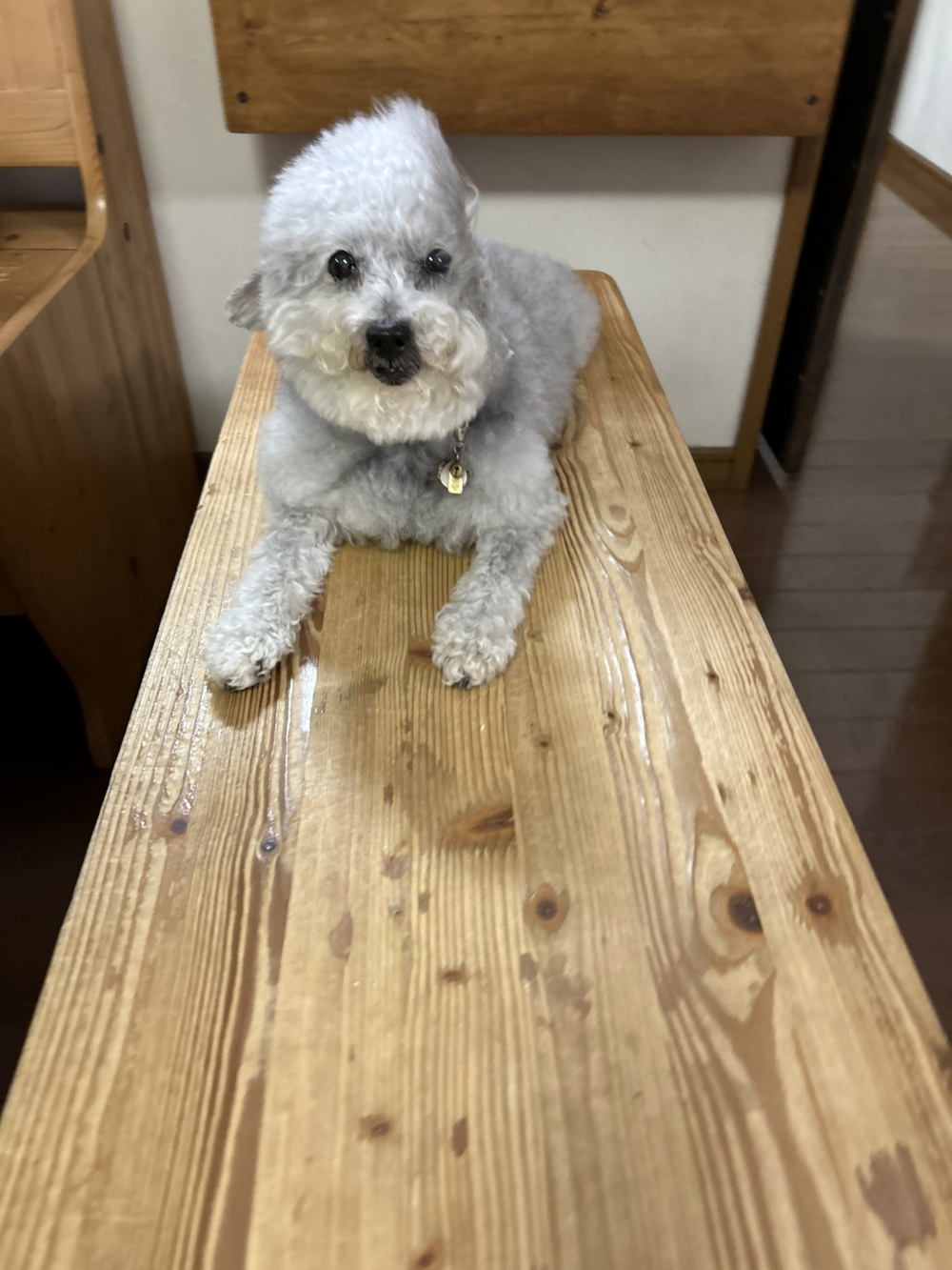 奴才：怕你太熱嘛