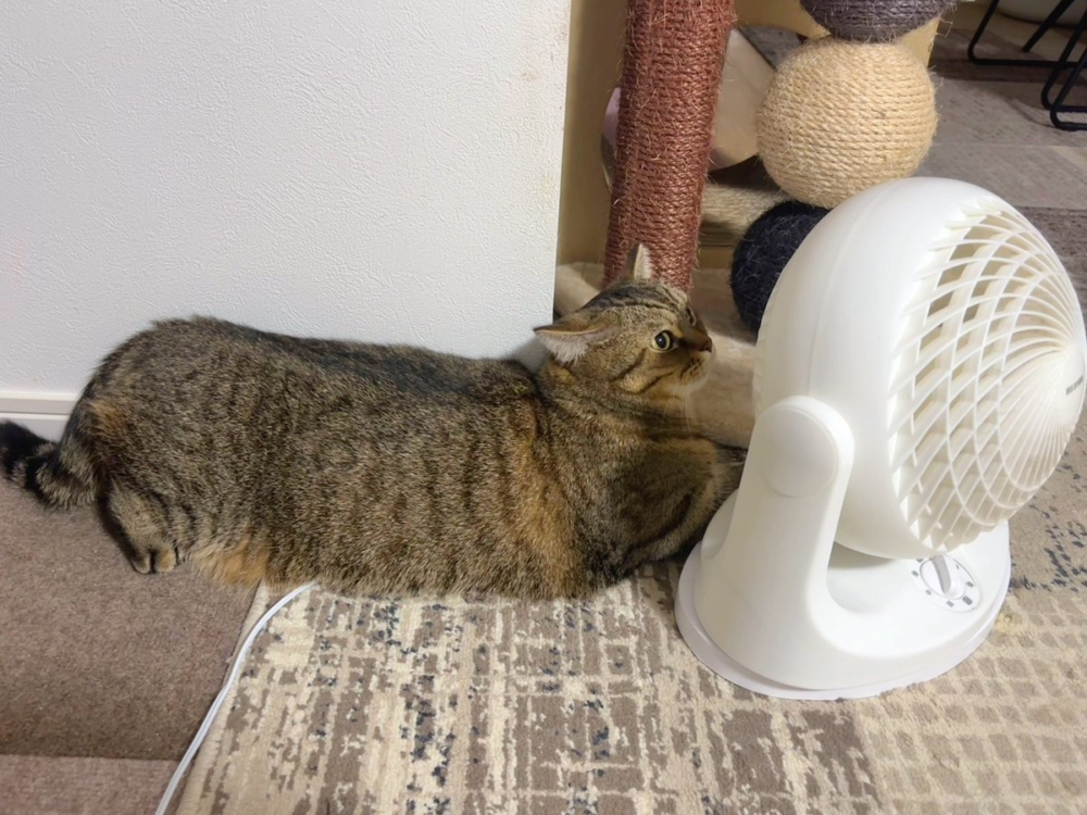 奴才：是人家容易誤會你摔倒了