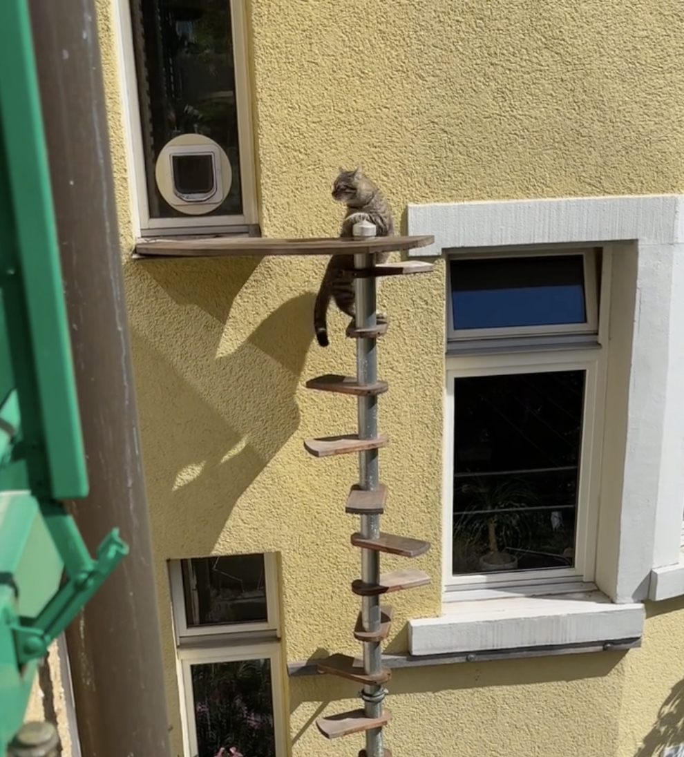 博主：那是當然