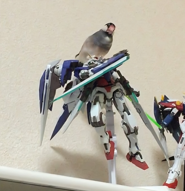 奴才：你的翅膀變厲害了捏