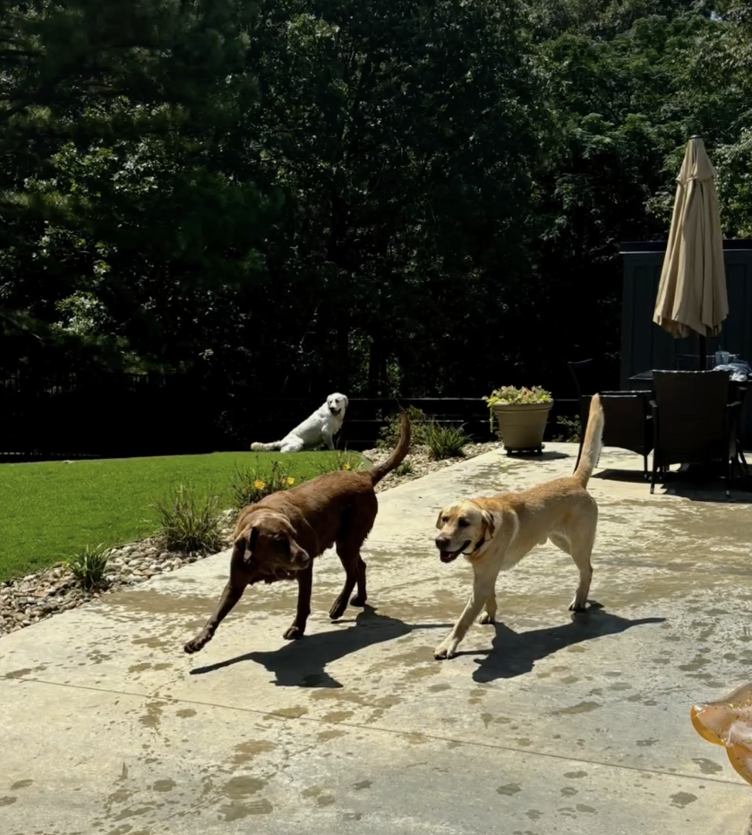 韋倫與同學一起進行戶外活動