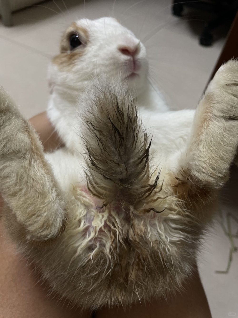 尿灼傷的成因多樣