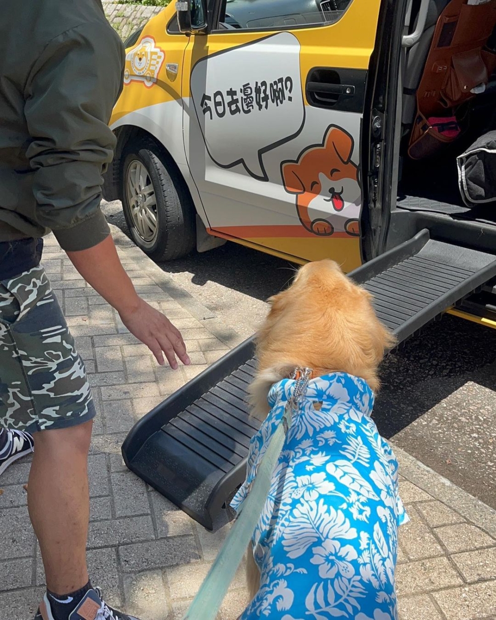 還有提供狗狗樓梯。