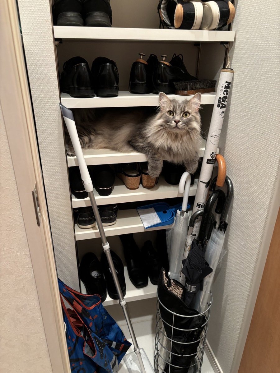 奴才：真的感覺不對勁欸