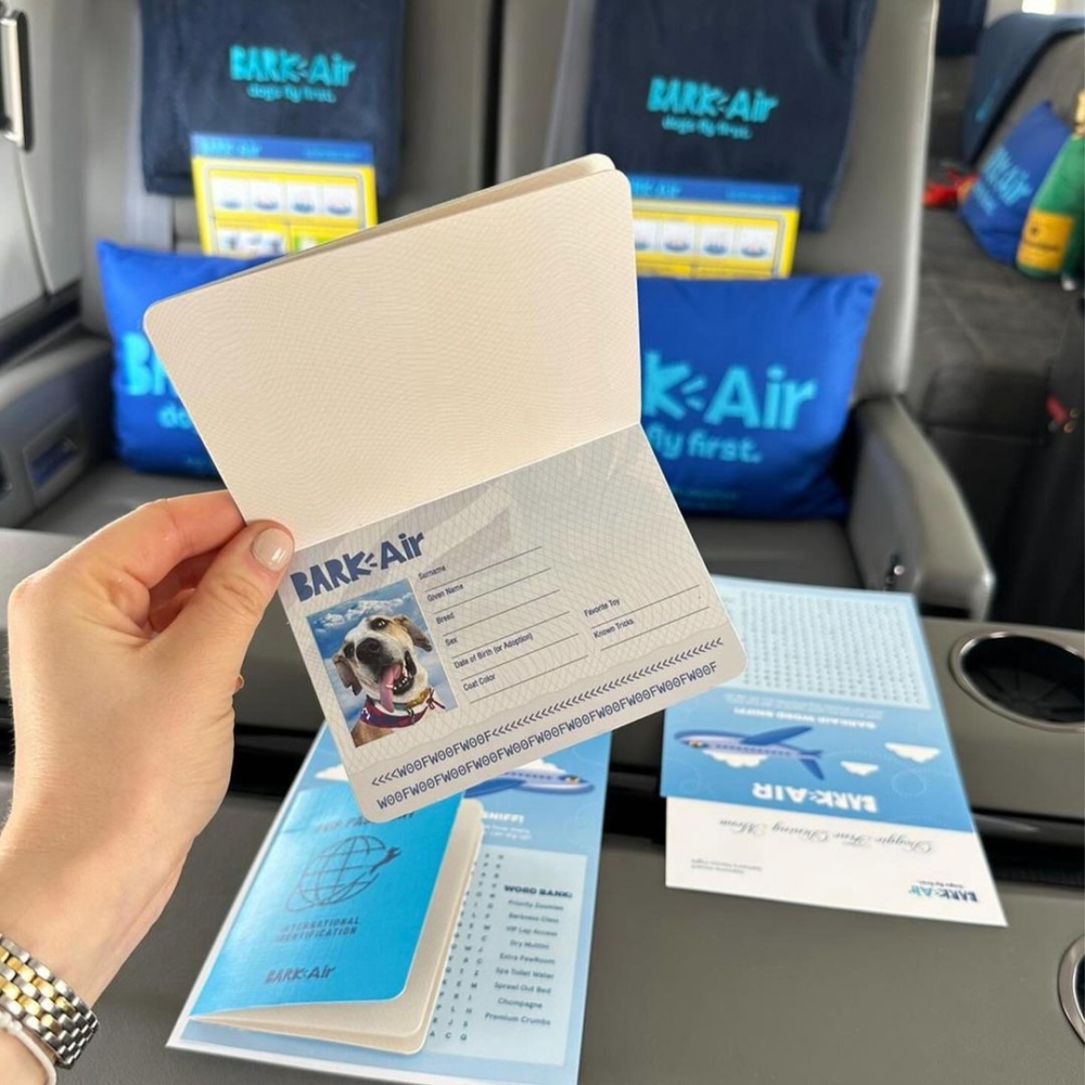 BARK Air的首波航點涵蓋紐約、洛杉磯與倫敦等地！