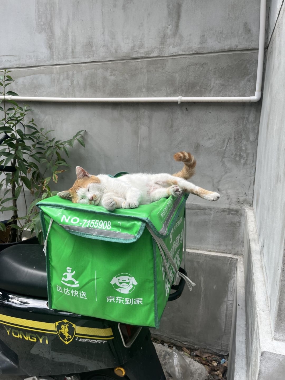 客人：睏了就睡吧