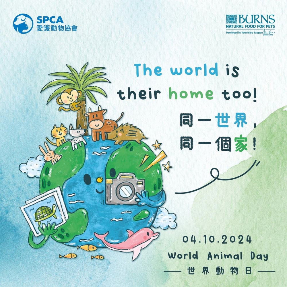 香港愛護動物協會（愛協）將於2024年10月19日舉辦一場別具意義的同樂日籌款活動！
