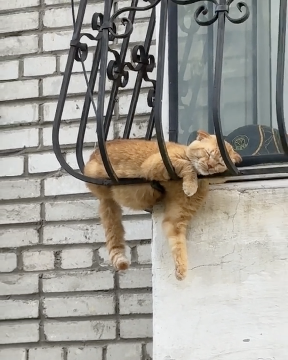 奴才：還是你最行啊