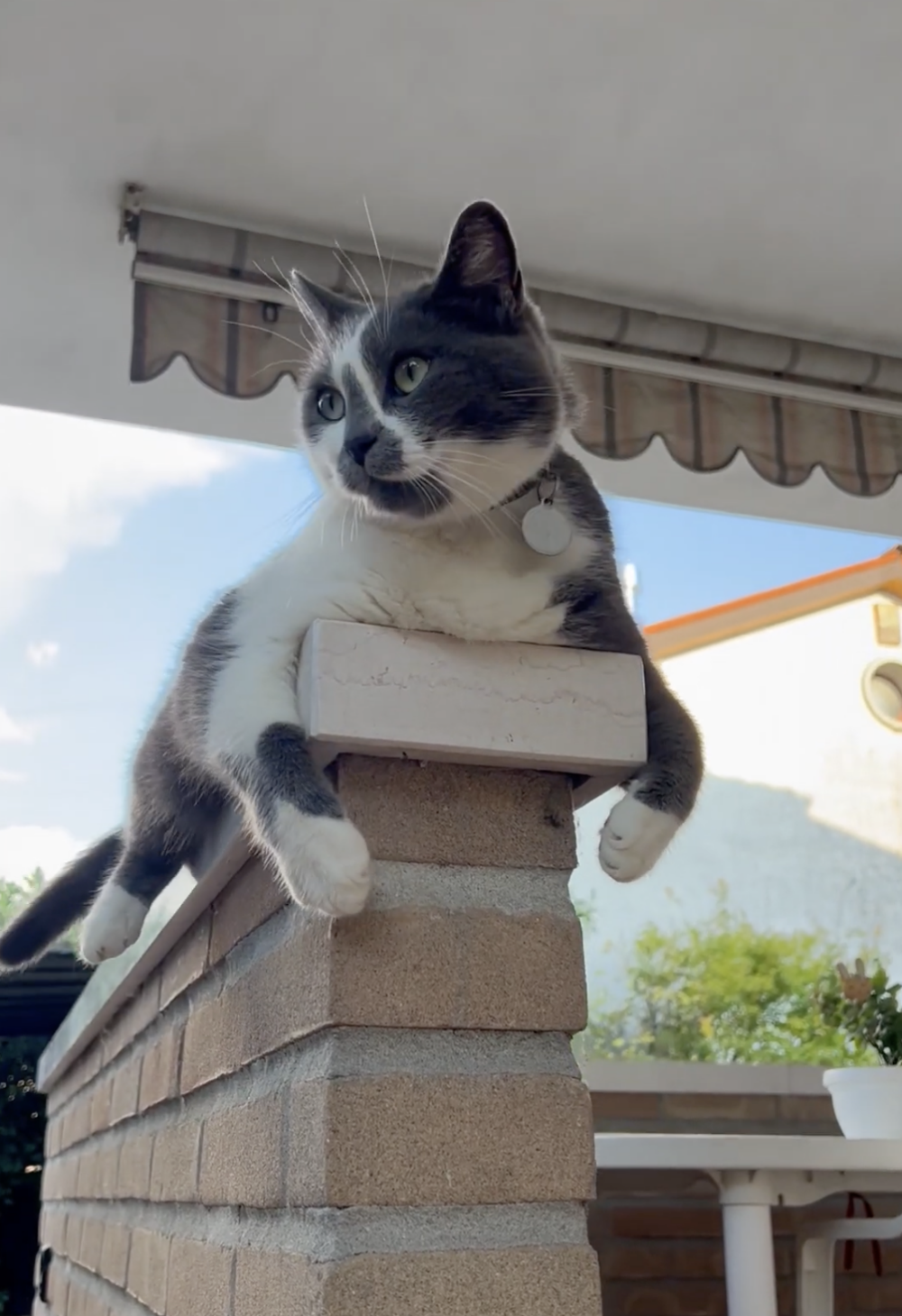 奴才：你別逃避現實啊