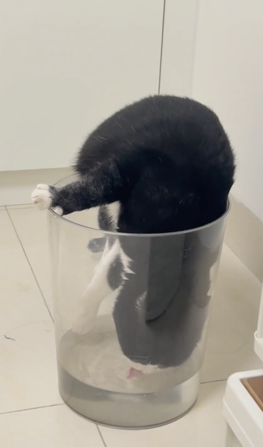 奴才：那麼有自信喔