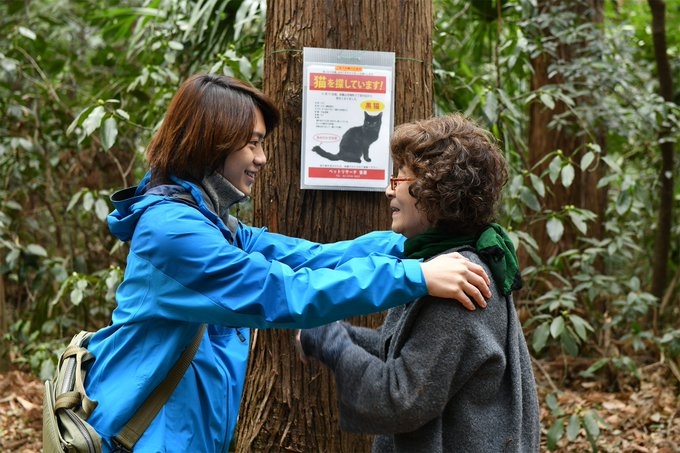 貓咪的消失讓夫妻之間的關係開生產生變化