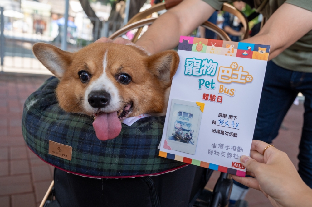 首航當天，不少狗奴和貓奴帶著自家毛孩早早來到車站打卡，為毛孩拍照，紀念這一特殊的巴士之旅