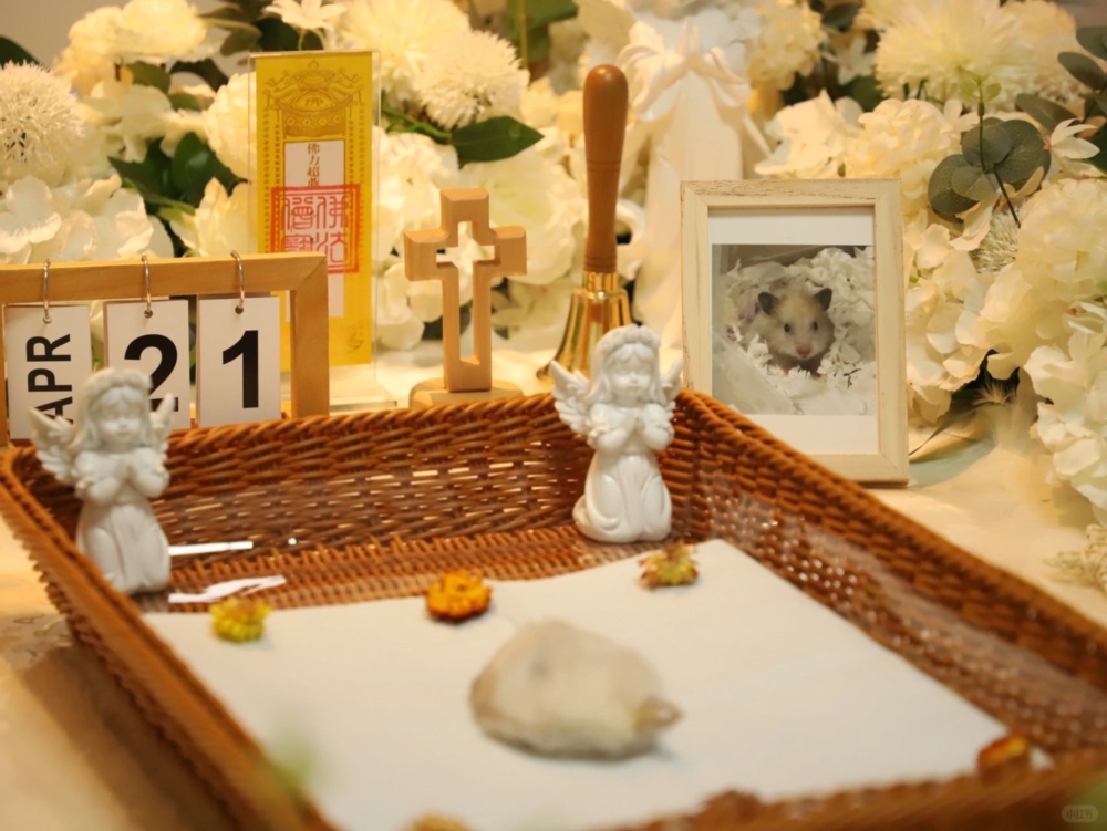 寵物離世後進行火化是最常見的方式