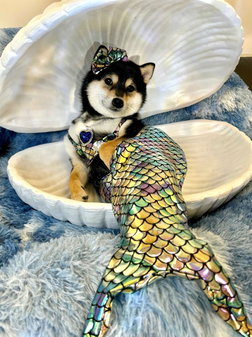 奴才：還真盡職盡責喔