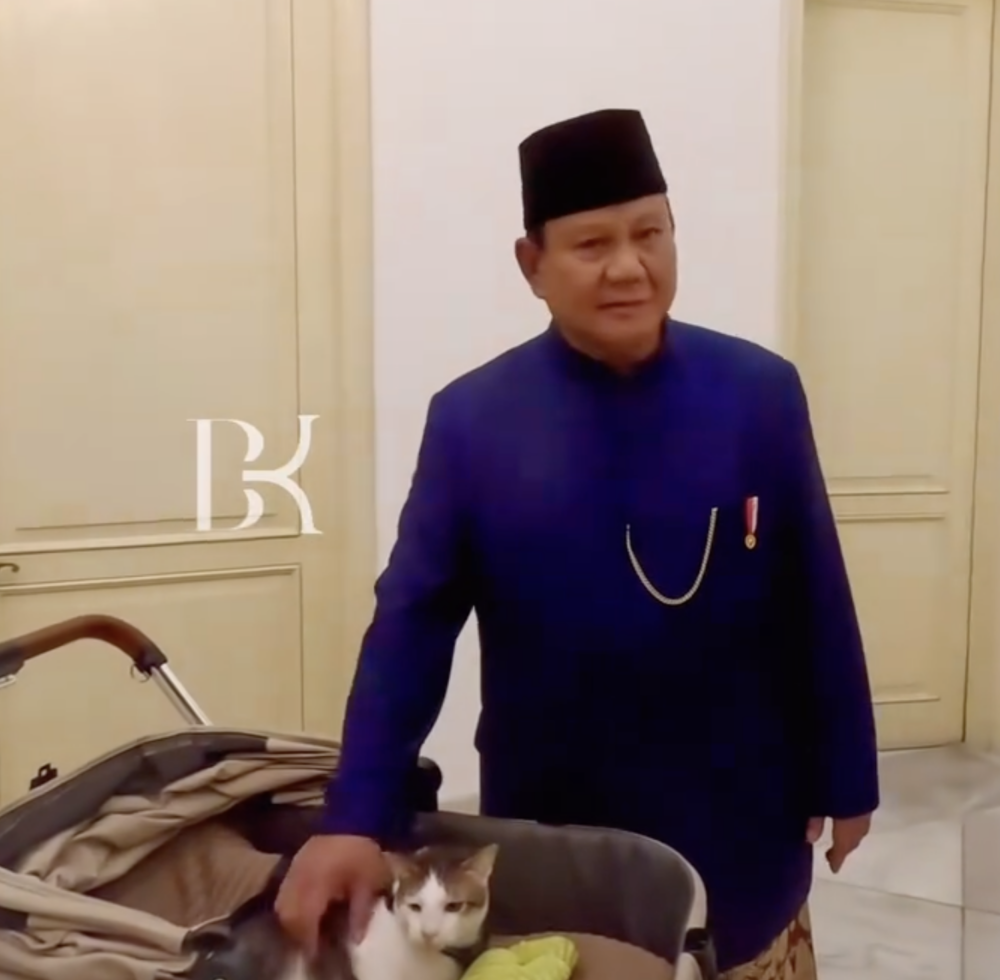 普拉博沃在2017年收養了波比