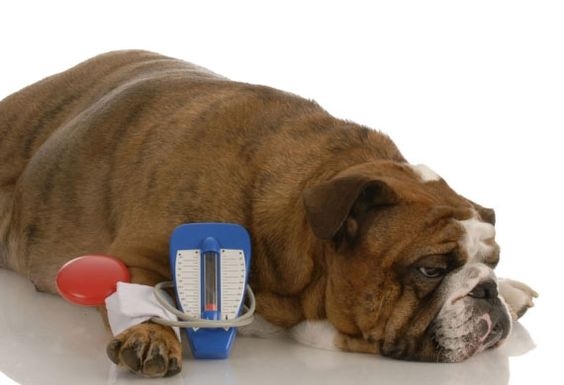 糖尿病是一種由血糖失衡所導致的代謝性疾病