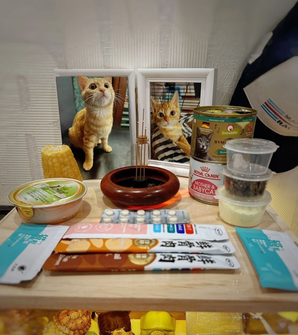 寵物離世後來自朋友與家人的支持顯得格外重要