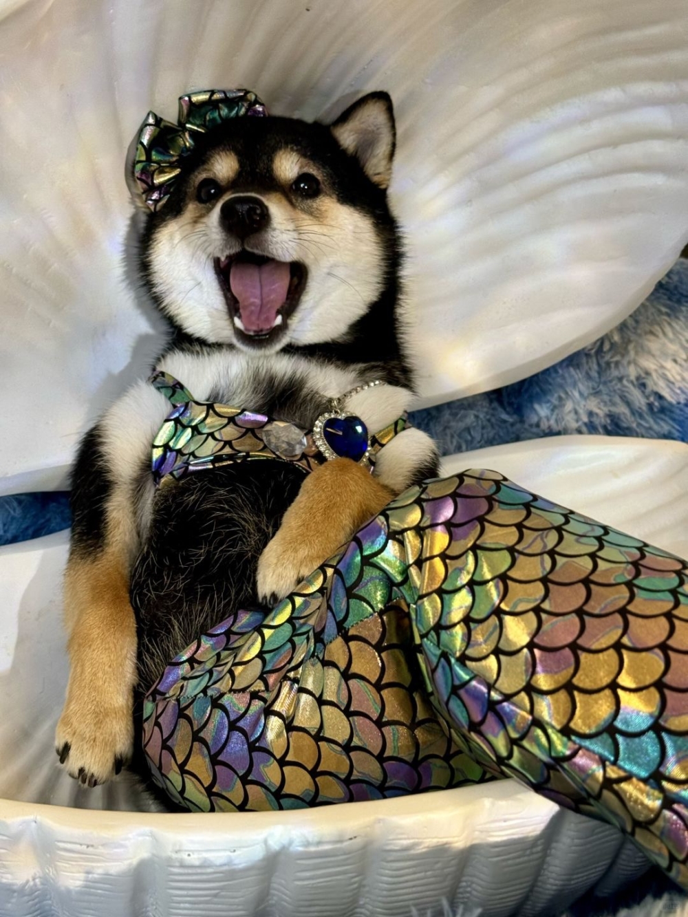 奴才：這模特請的好啊