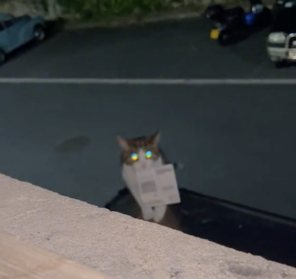 Monkey帶回了特殊的「戰利品」喔