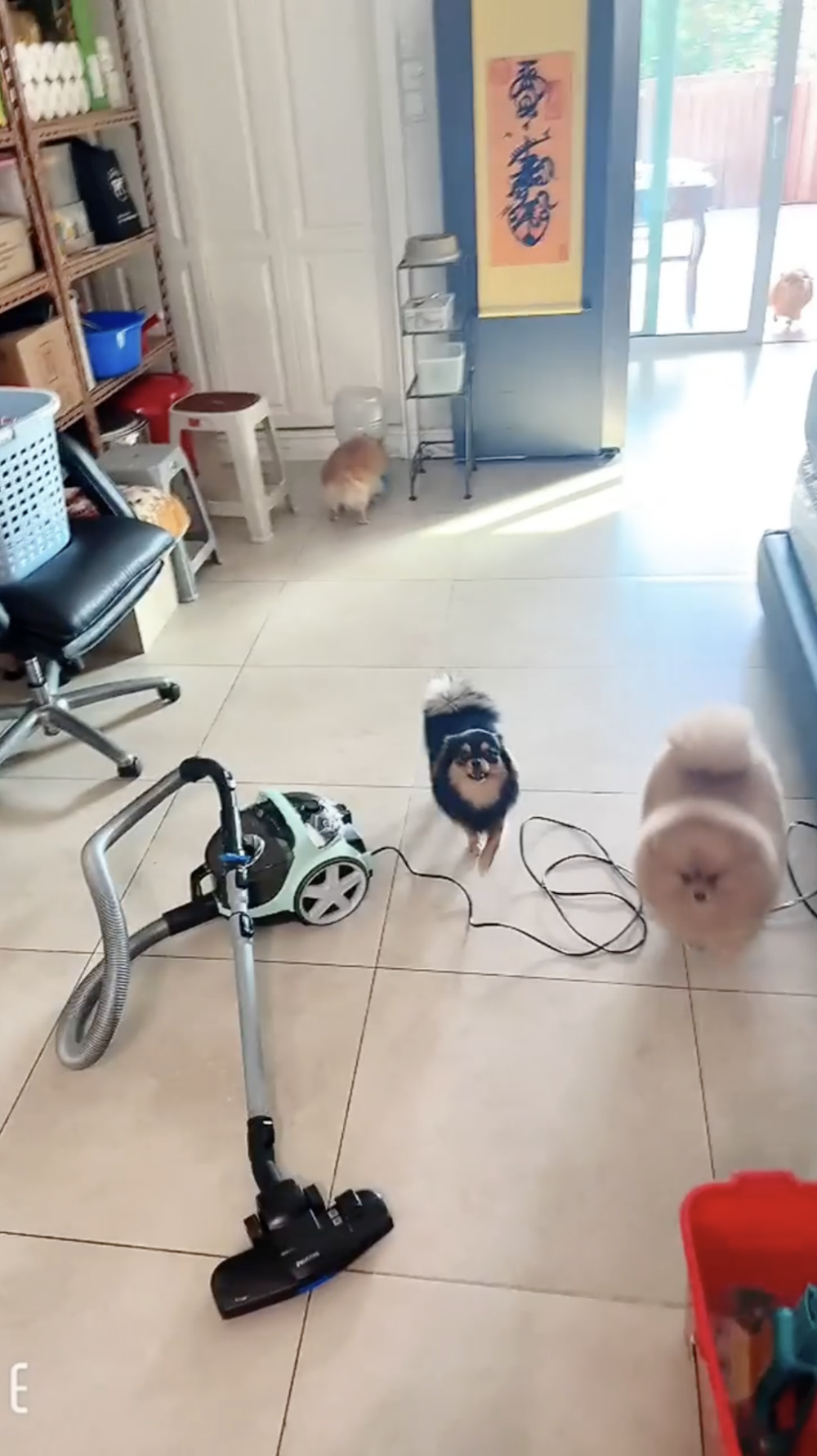地面隨意放置的吸塵器和拖把，以及旁邊雜物的擺放，讓苑瓊丹的富豪形象與生活的接地氣形成鮮明對比～
