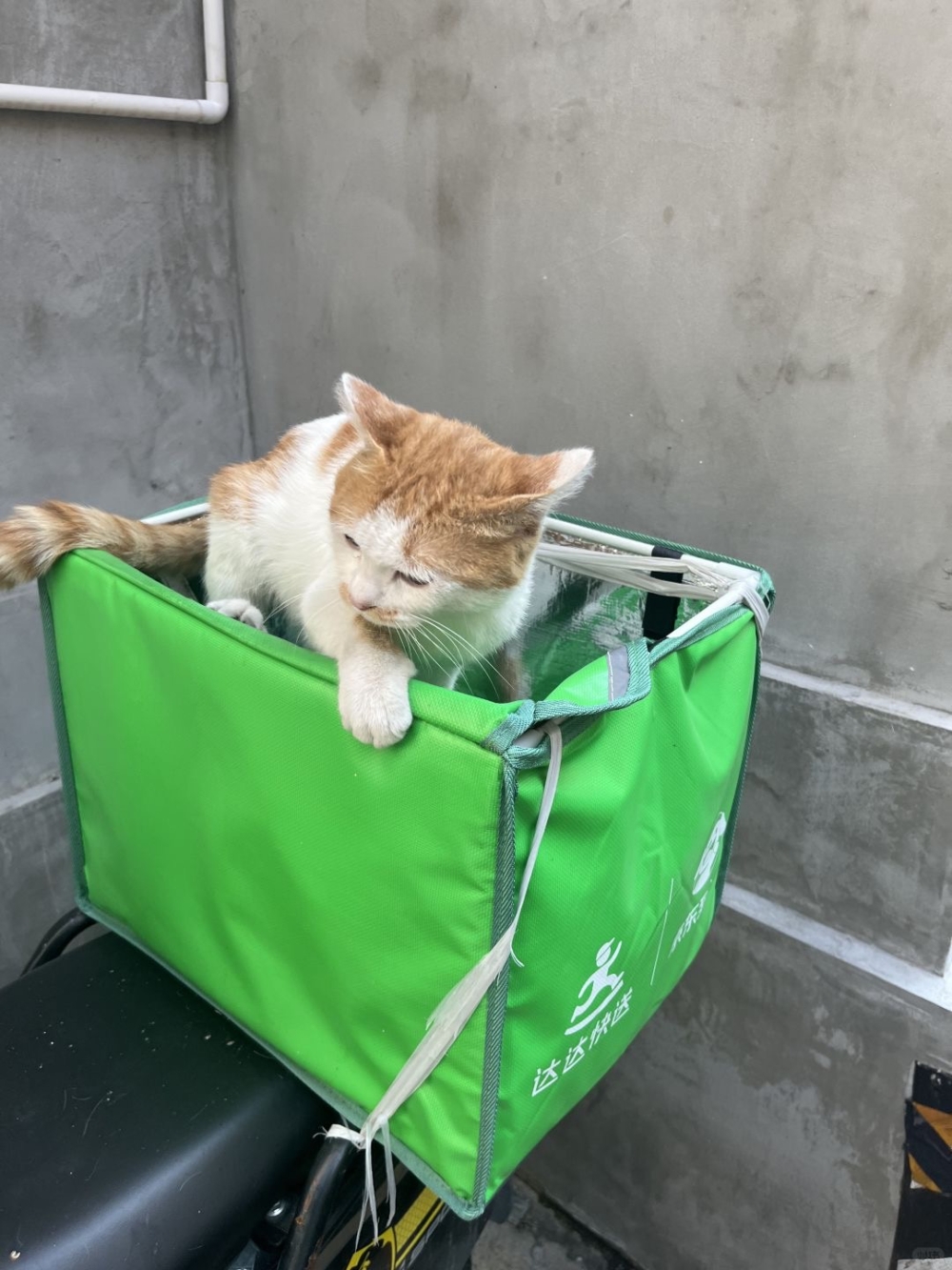 客人：不怪你啦