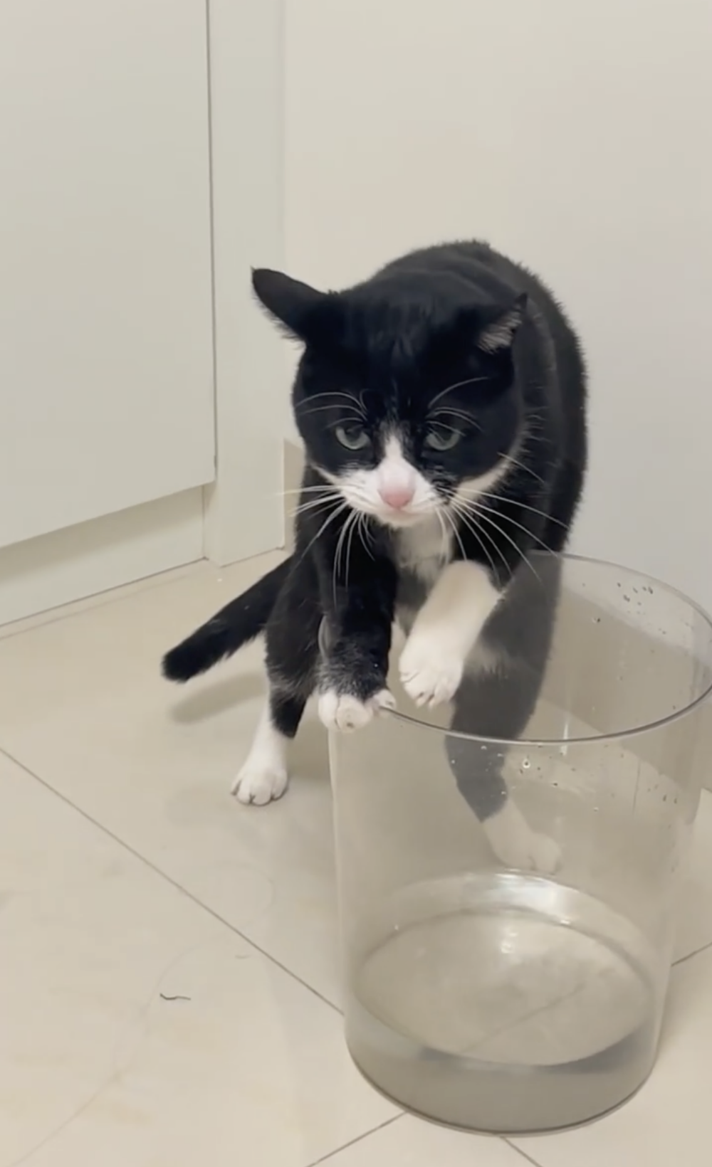 奴才：這桶水有比較甜嗎？