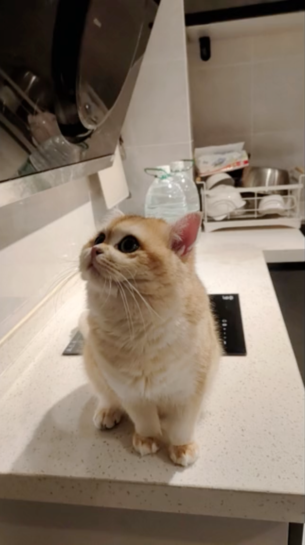 多虧了物業的及時發現，消防員迅速趕到現場