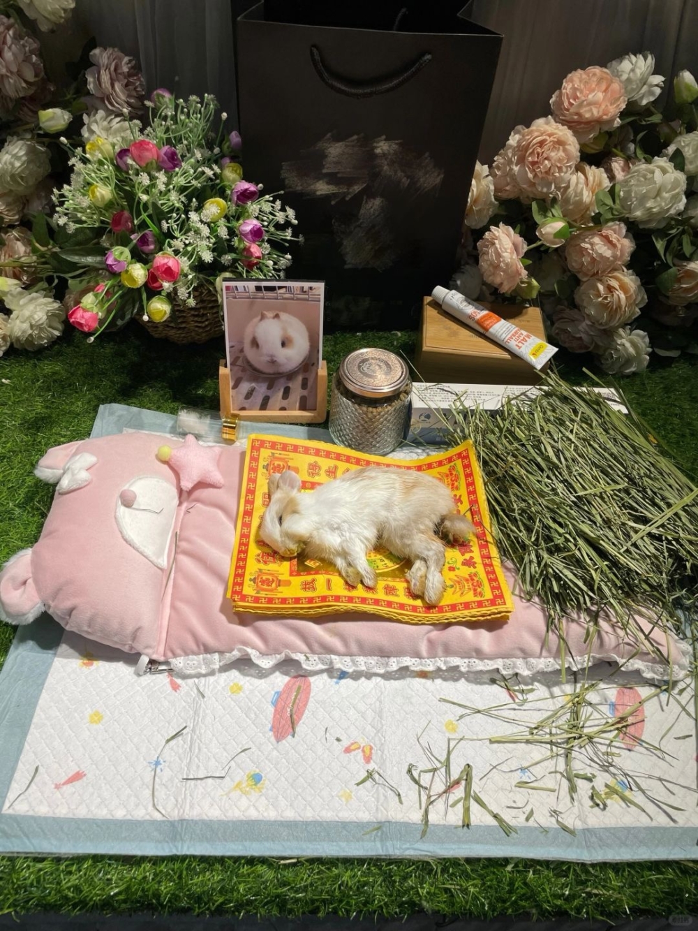 寵物離世後最好是將遺體放入紙箱或使用專業的往生被