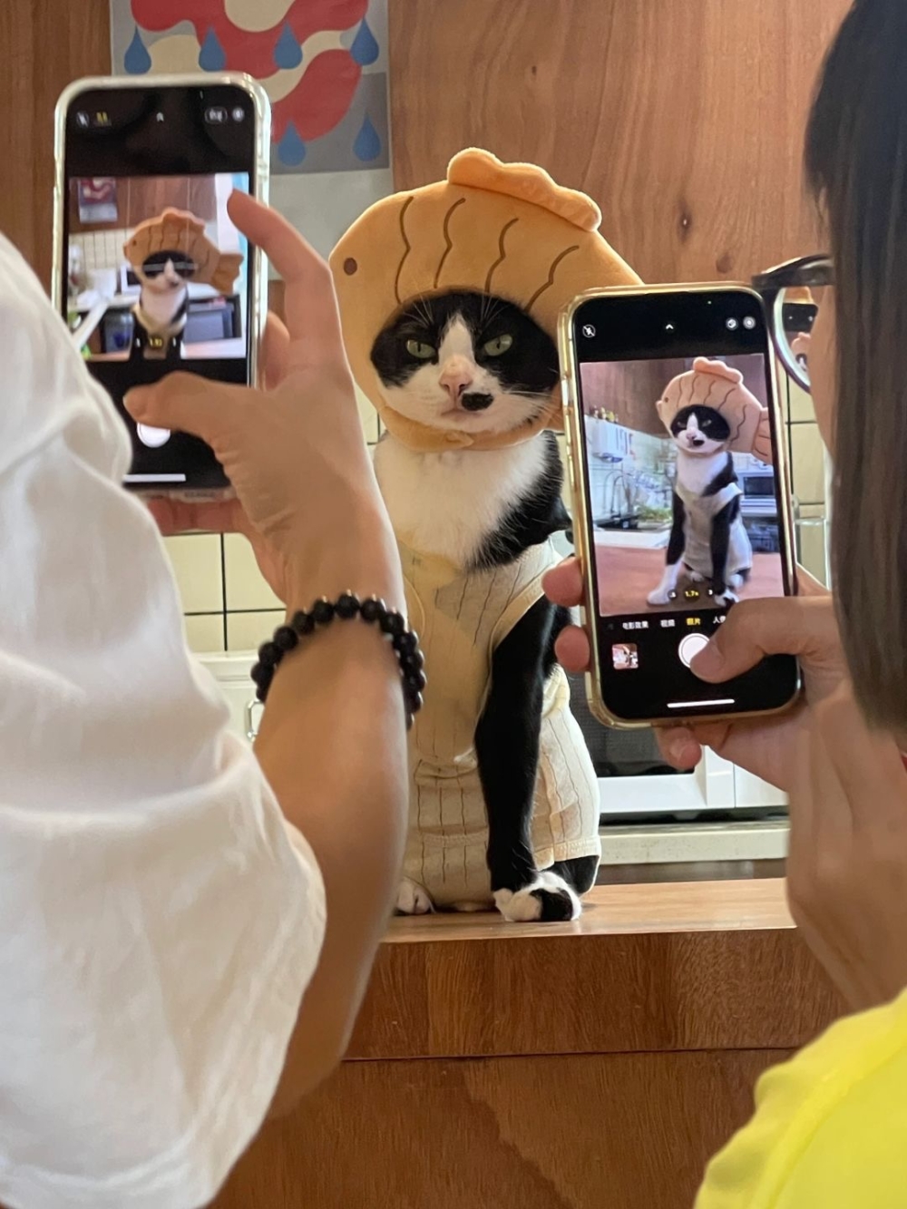 奴才：那就要看你表現囉