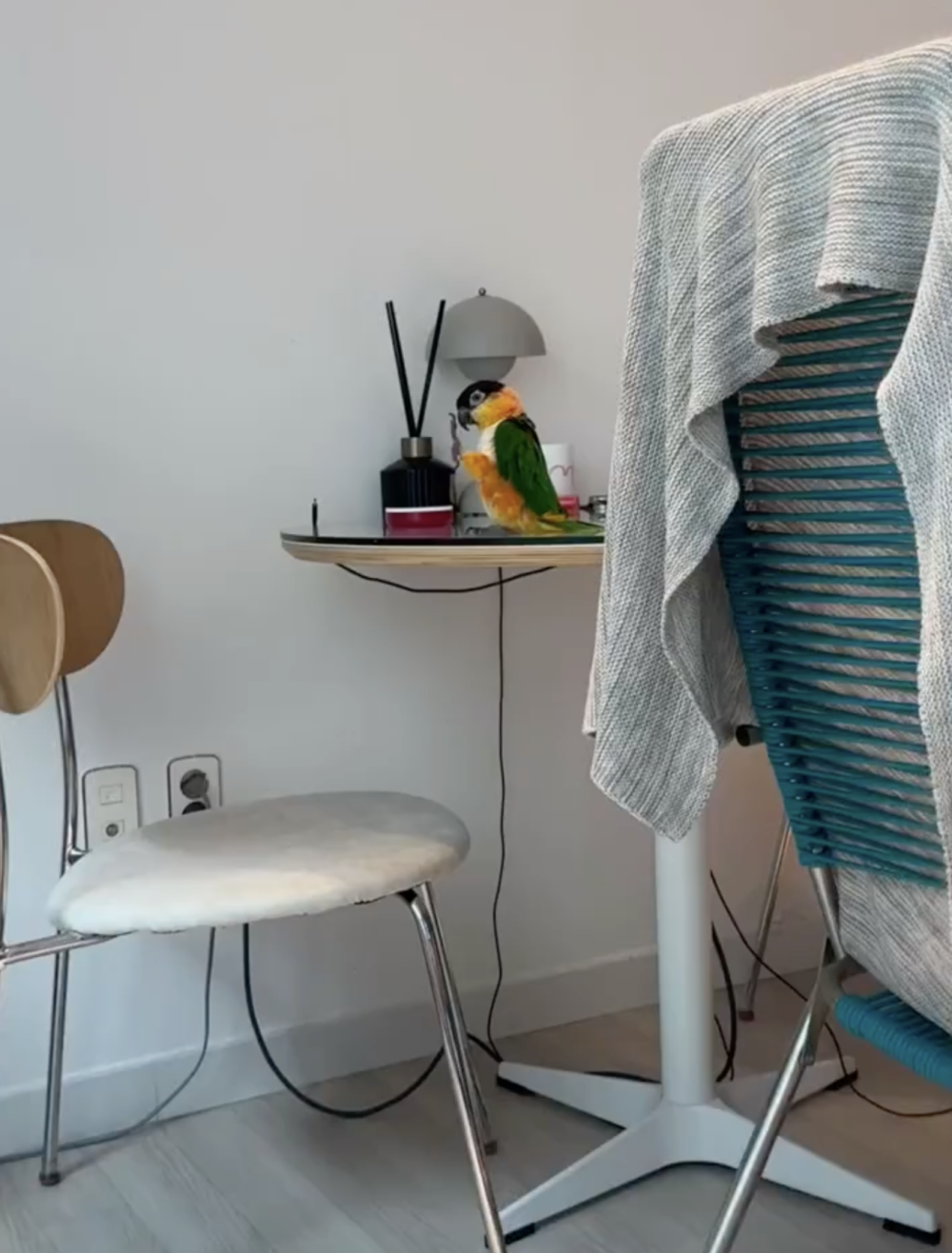 奴才：你想唱歌了嗎？