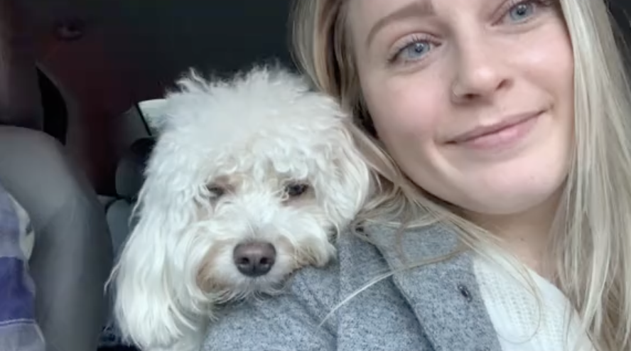 Tommy的表情逐漸變得彷彿在「強顏歡笑」，像是在努力掩飾內心的倦怠與失望！