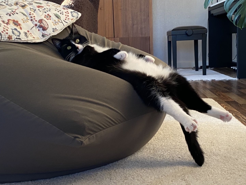 奴才:好沒形象欸