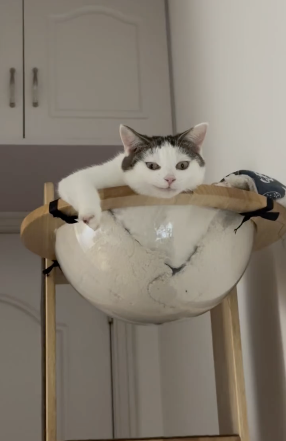 奴才：你這樣笑很恐怖欸