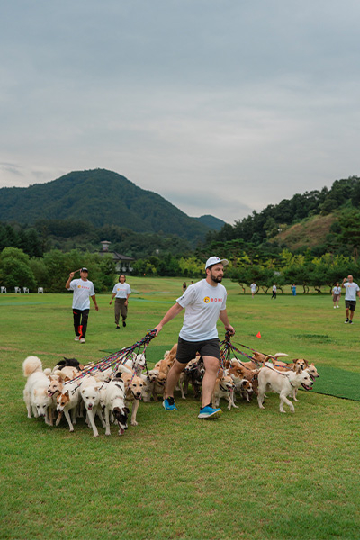 此次挑戰雖然訓練時間有限,但魯迪和救援團隊平時的細心訓練、耐心陪伴為狗狗們建立了穩定的基礎,才能在如此短的時間內完成這個壯舉!