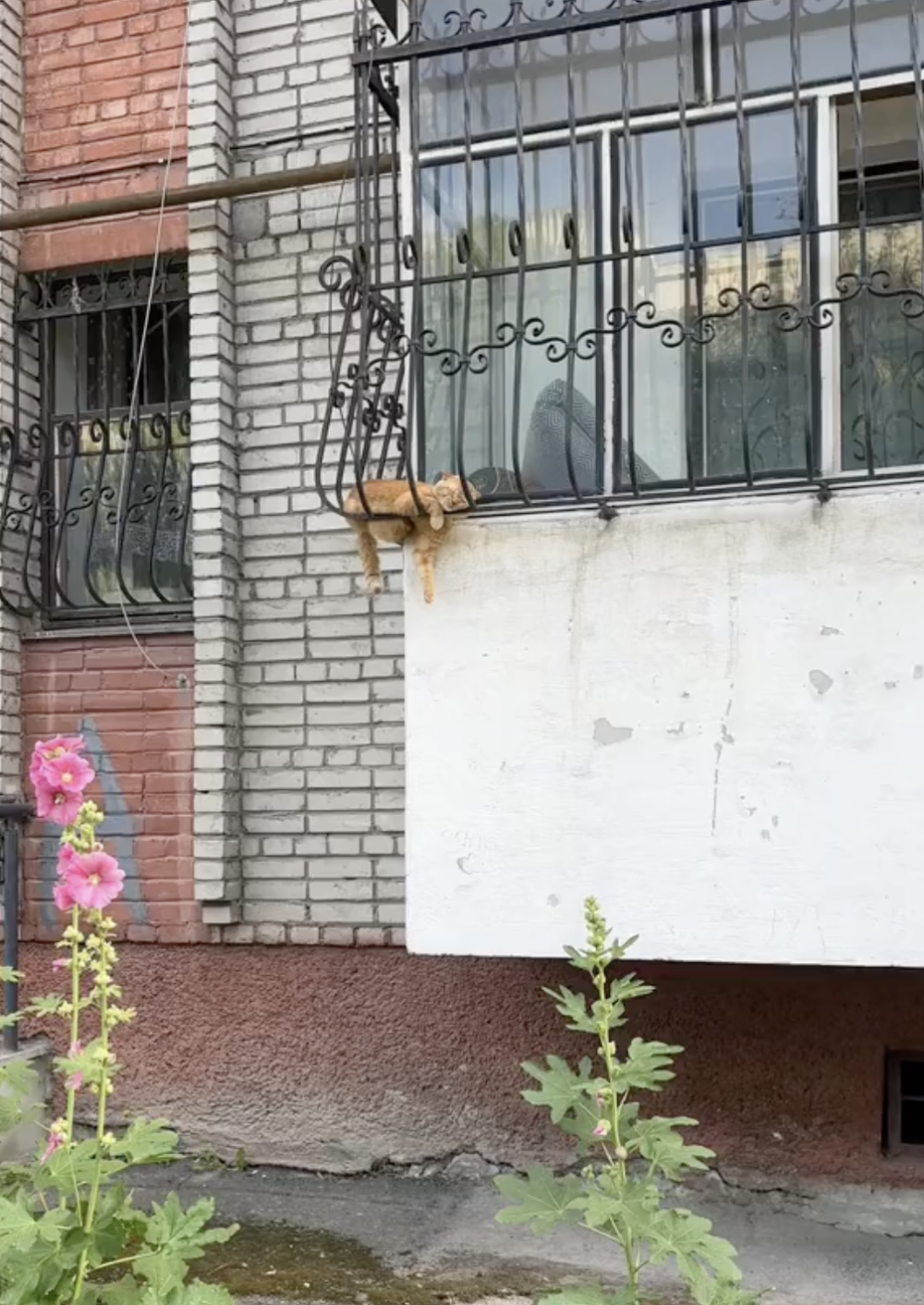 奴才：膽真大啊