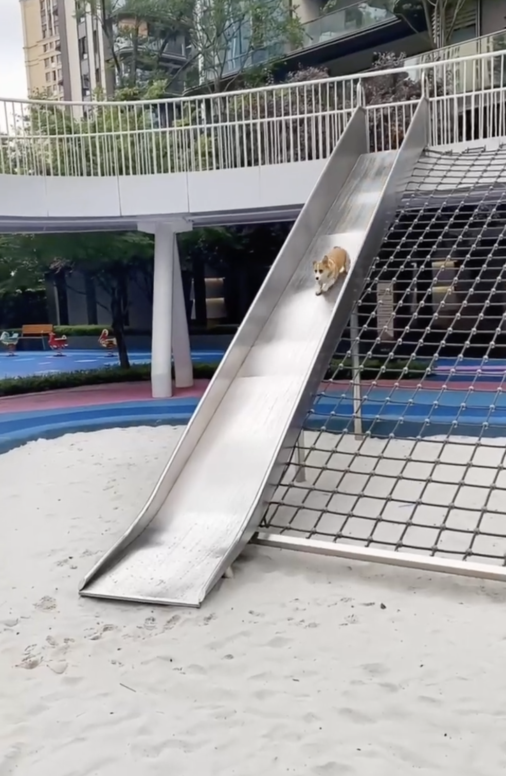 奴才：有不好的預感欸