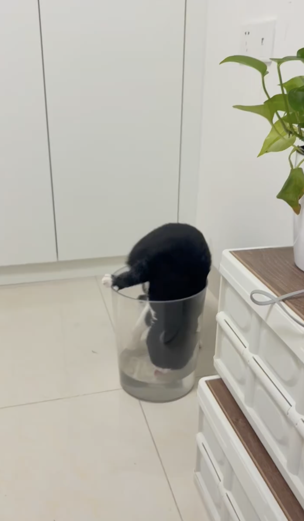 奴才：你確定不會掉進去嗎？