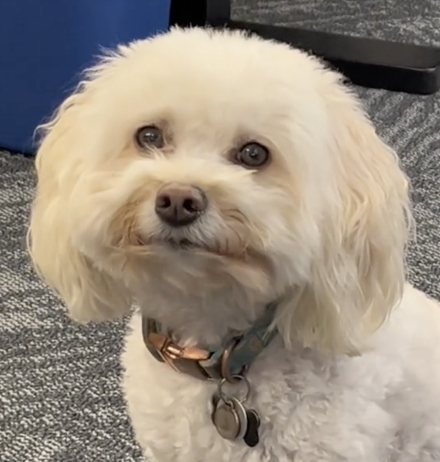 興奮的熱潮僅僅持續了大約30分鐘，隨著時間的推移，Tommy的表情開始逐漸發生變化～