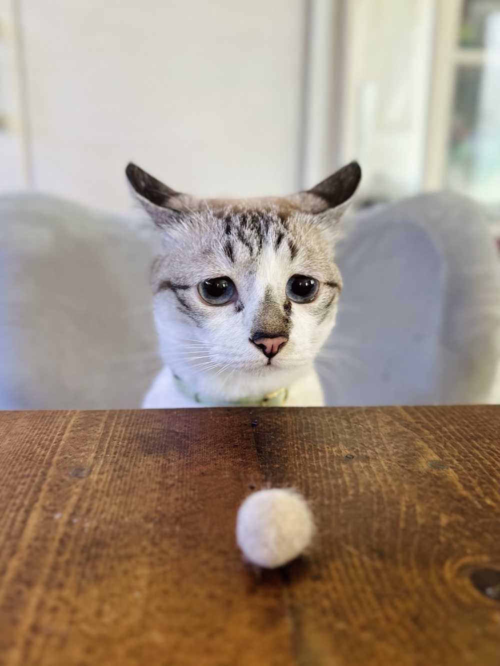 奴才：你該不會是誤會了吧