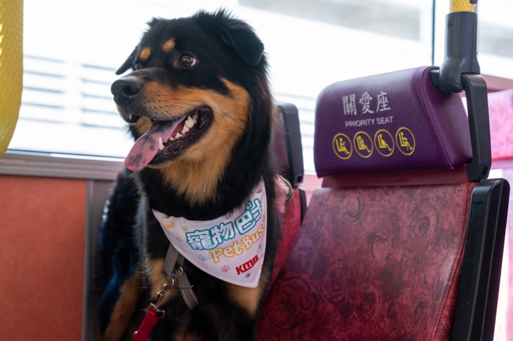 對於乘坐規則，九巴也做出了明確的守則！