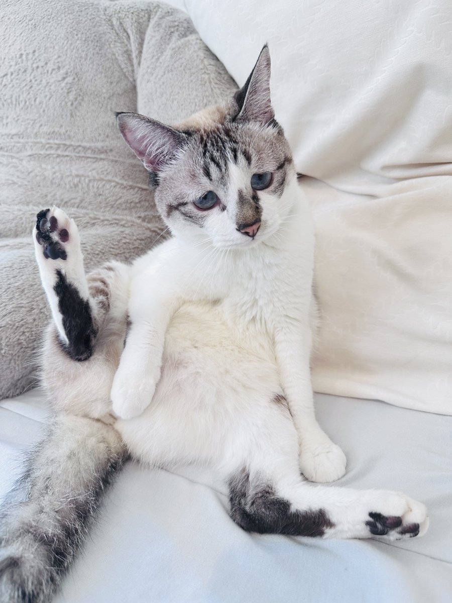 奴才：我收集了很久囉