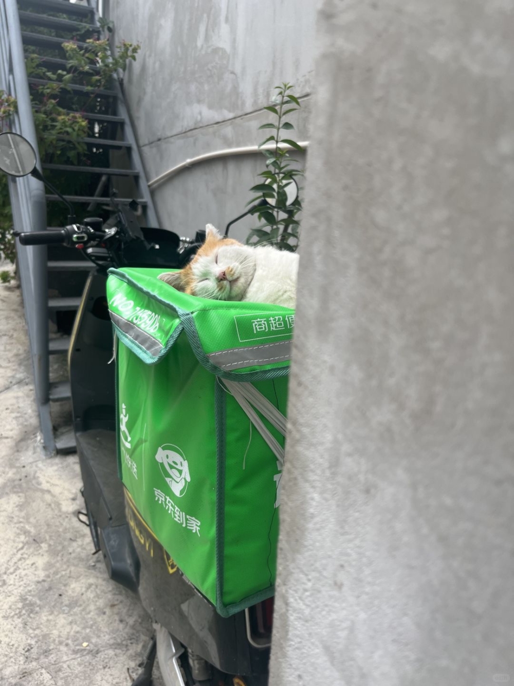 客人：確實～確實～