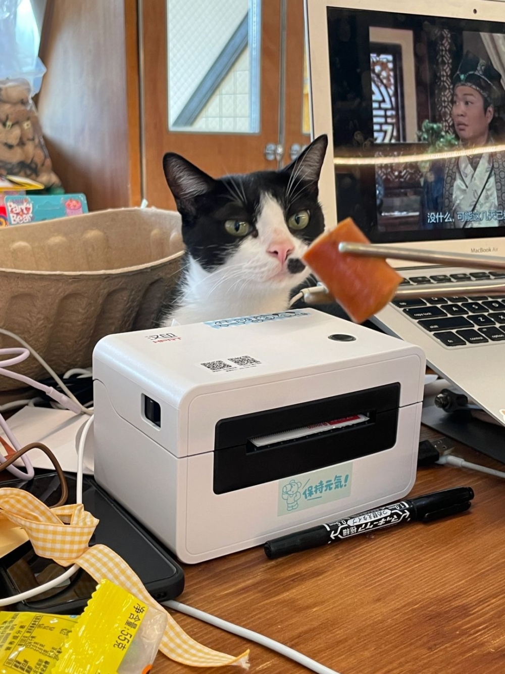 奴才：你的動力是小零食吧～