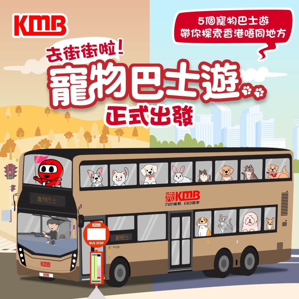 這一項目是由九巴與開大旅遊合作，於10月13日正式開始，並且每逢週末及公眾假期營運！