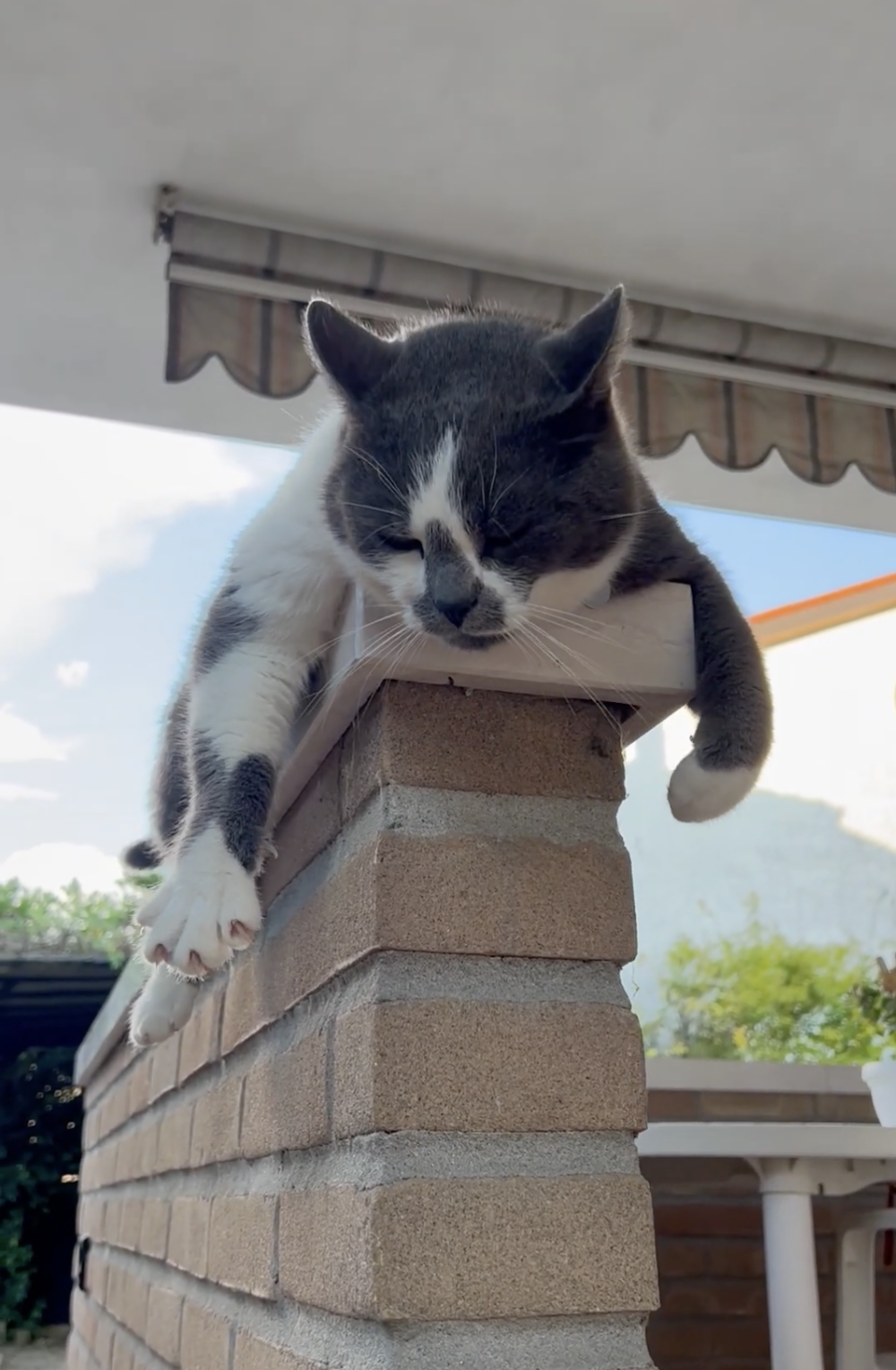 奴才：那你敢真的下水嗎？