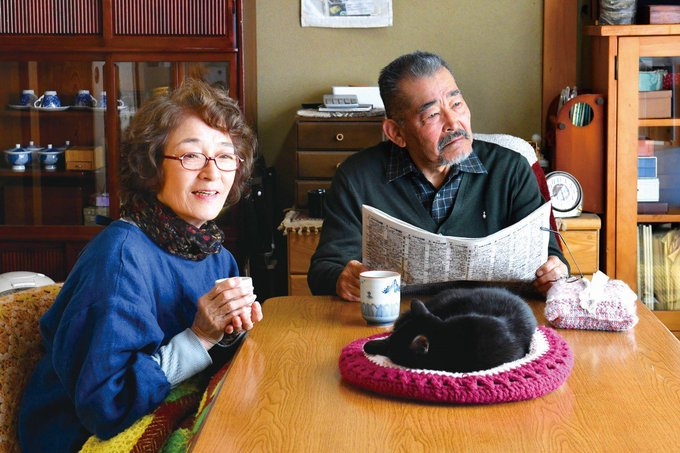 這部電影的故事圍繞著一對結婚50年的老年夫妻以及他們的貓咪小不點展開