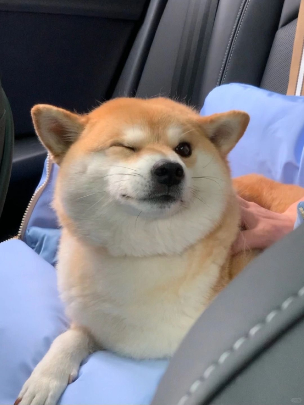 奴才：這樣就放棄啦