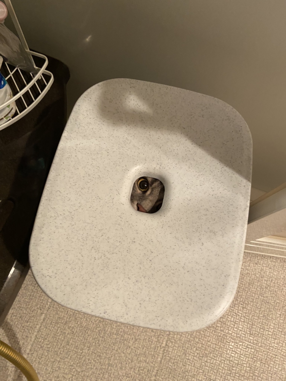 奴才：怎麼感覺有東西盯著自己...