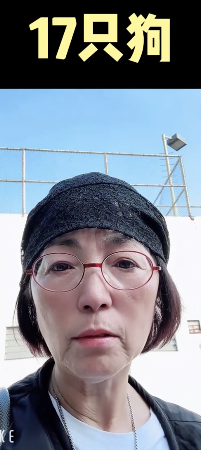 苑瓊丹在小紅書上分享了一段引人關注的影片，揭示了她家中養了多達17隻可愛狗狗的驚人場面～